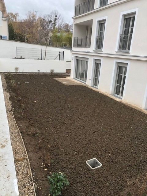 Engazonnement — gazon de placage — photo 6
