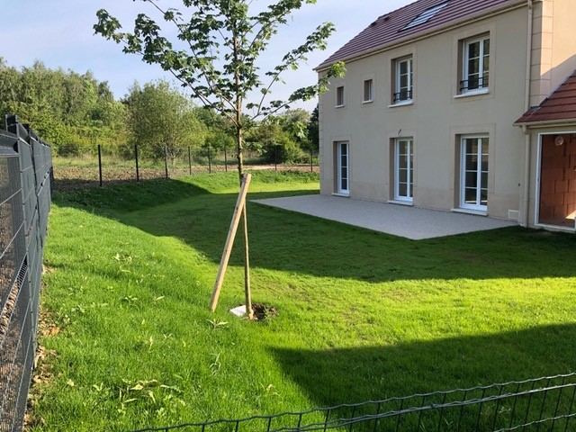 Engazonnement — gazon de placage — photo 10