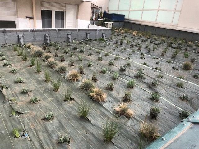 Nos plantations en images — photo 3