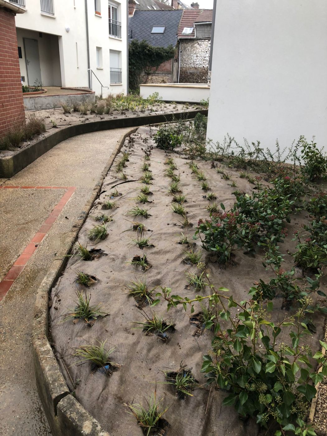 Nos plantations en images — photo 5