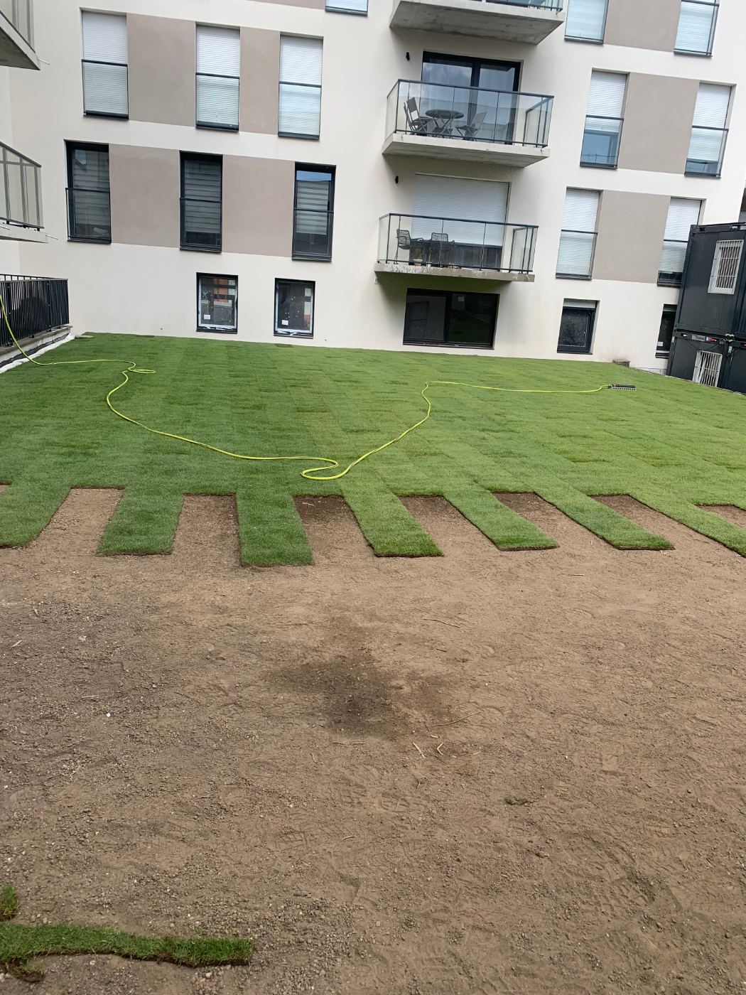 Nos plantations en images — photo 7